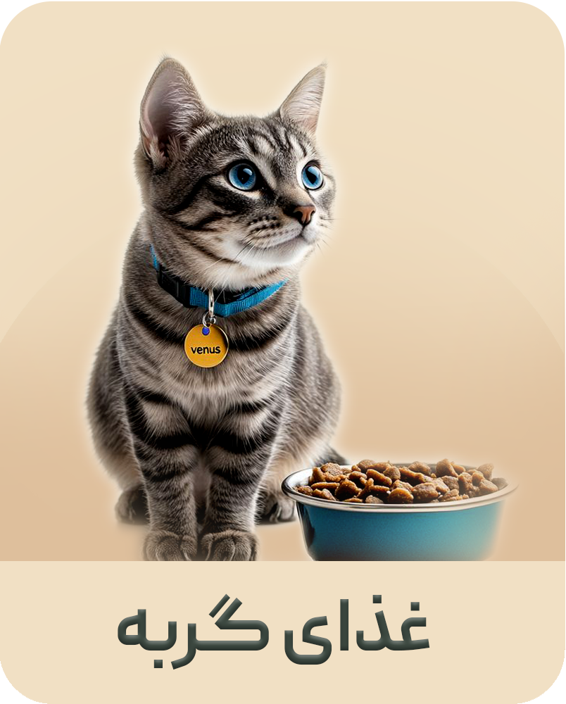 غذای خشک گربه