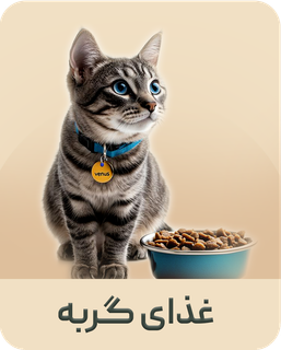 غذای خشک گربه