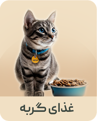 غذای خشک گربه