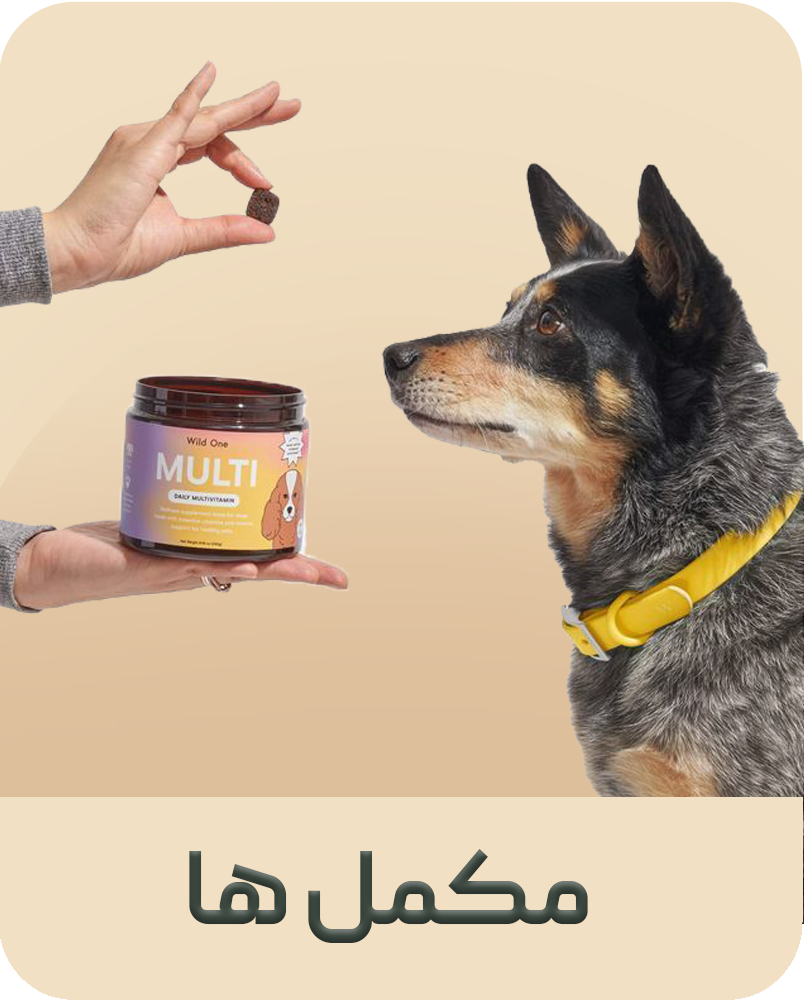 مکملهای غذایی سگ و گربه