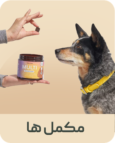 مکملهای غذایی سگ و گربه