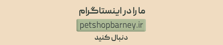 لینک اینستاگرام