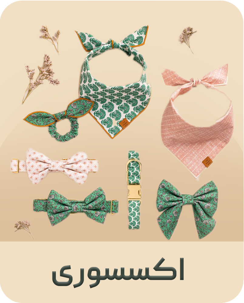 اکسسوری سگ و گربه