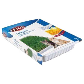 کیت بذر سبزه گربه تریکسی