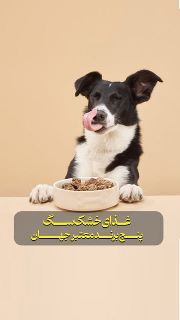 بهترین غذای های خشک دنیا