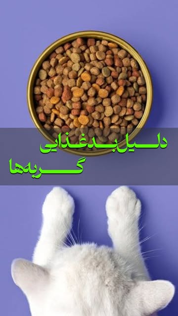علتهای بد غذایی در گربه ها
