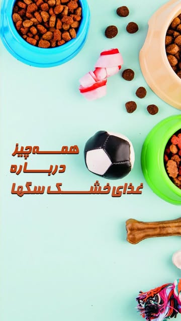 مزایای غذای خشک برای سگها