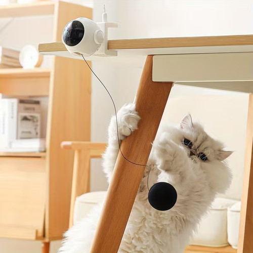 اسباب بازی هوشمند یویو (مخصوص گربه)