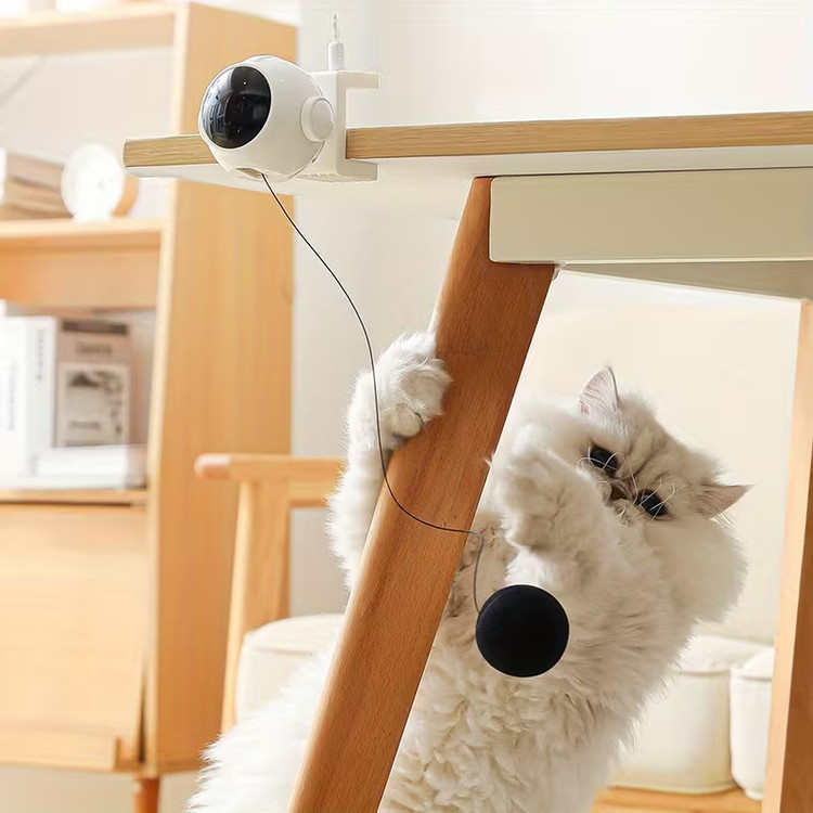 اسباب بازی هوشمند یویو (مخصوص گربه)